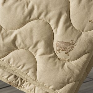 ������ ������ ��� �����, ������ � ������ ������ � ������������� ���