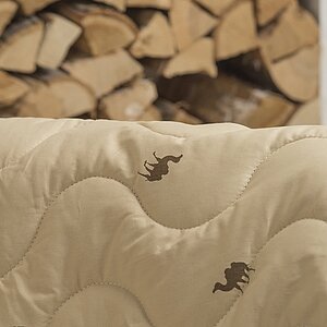 ��������� ������ ������ ��� �����, ������ � ���� 6048 �. � ��������� ������