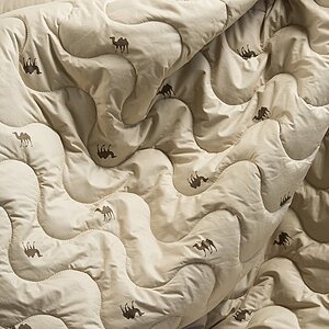 ������ Verbi