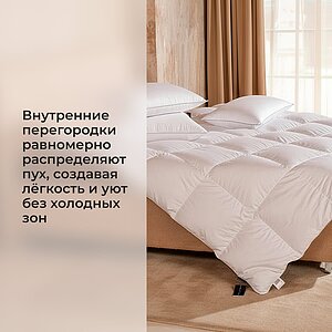 ������ ������� Lucky Dreams Bliss, ������ � [170 x 205 ��] � ���