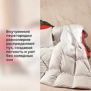 ������ ������� Lucky Dreams Desire, ������ � [170 x 205 ��] � 1 �����