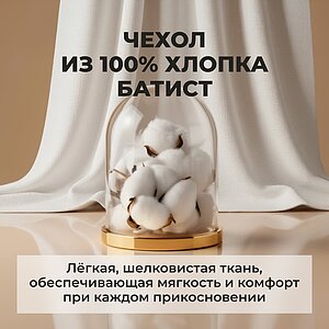 ������ ���� ���� �������