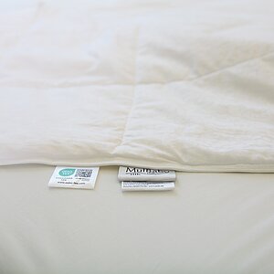 �������� ������ Mulbaby ���������, ����������� � ���� 15200 �. � ����������� ����