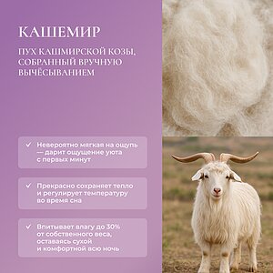 ������ Primavelle Apollina � ���� 14400 �. � 16 ��������