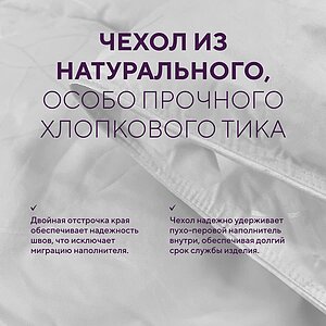 ������ Primavelle Dominica � ��������� � 38 ��������
