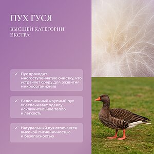 ������ ������ Primavelle Monferrat ��������