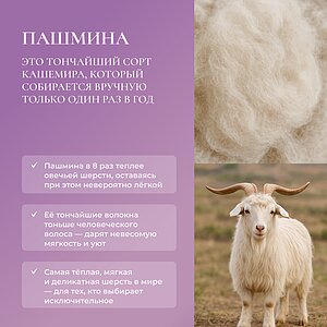 ������ Primavelle Pashmina Premium � ���� 16580 �.