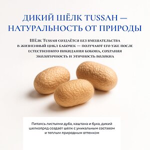 ������ Silk Dragon Optima, ������ � ����������� ���� � ������