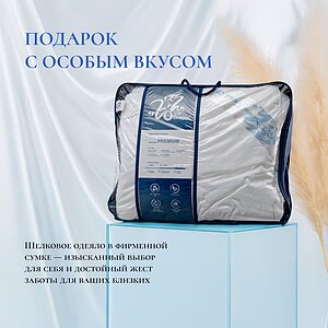 ������ Silk Dragon Premium, ������ � ���� 15250 �. � ����������� ����