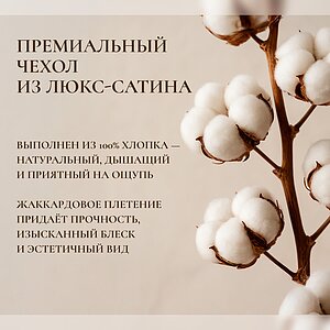 �������� ������� Asabella 50 � ������������ �����