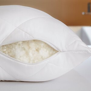 ������� ��������