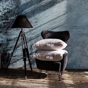 ������� ���� ���� �����