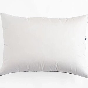 ������� ����� ������� ���� ���� ���