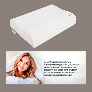 ������� Kamasana Comodo 60 � �������� � �������� ������ � �������� 2 ����