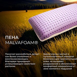 ������� Kamasana Memo Malva � ���� 21165 �. � �������� � �������� ������