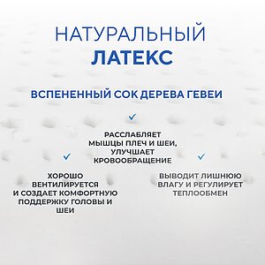 ������ ������� Sleepline Latexcel D21 ��������