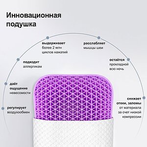 ������� darwin Adult � ���� 13489 �. � 5 ��������