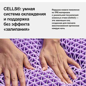 ������� darwin Adult � �������������� ����� � 5 ��������