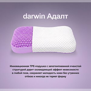 ������ ������� darwin Adult ��������