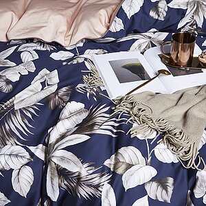 ���������� ����� Luxe Dream Moreus � ���� 12850 �. � 28 ��������