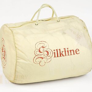 ������ ��������