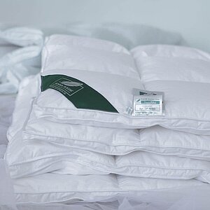 ������ Anna Flaum Perle, ������ � ��� � ���������