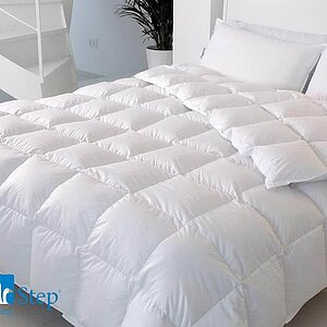 ������ DaunenStep D400 Classic Winter � ������� � ������ � 20 ��������