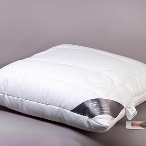 ������� Johann Hefel Klima Control Comfort 50 � ������� � ������������� ���