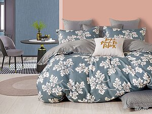 ���������� ����� Cleo 854-SK