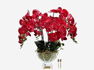 ����� ������� Cote Noire ���. CPO14