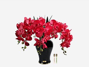 ����� ������� Cote Noire Imperial Orchid, ���. IMPO14