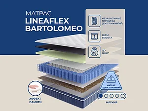 Lineaflex Bartolomeo