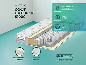 EveRest ���� ������ 10 S1000 65�200