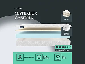 Materlux Camelia 65�200