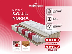 ������ ������ ��� �������� S.O.U.L. Norma 80�190