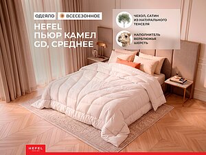 ������ Hefel Pure Camel GD, �������