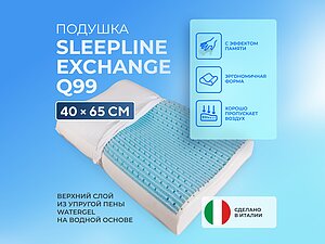 ������ ������� Sleepline Exchange Q99