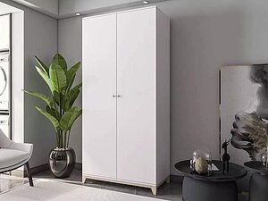 ������ ���� ������ ����� 25, �����