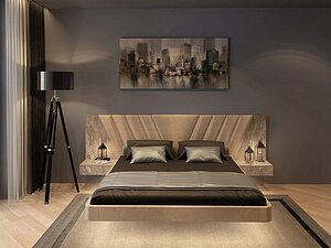   Wings Victory Sky line