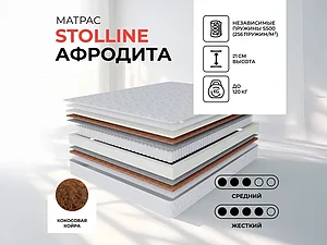 ������ ������ �������� ������� - ��������