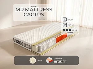 ������ ������ Mr.Mattress Cactus