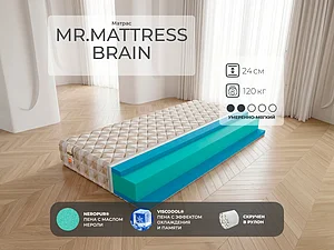 ������ ������ Mr.Mattress Brain