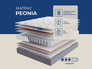 ������ ������ Lineaflex Peonia