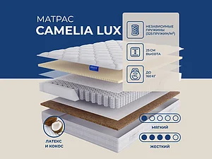������ ������ Lineaflex Camelia Lux