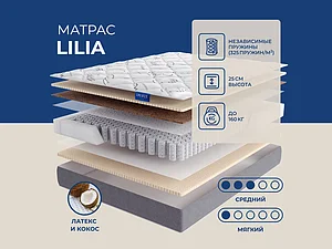 ������ ������ Lineaflex Lilia