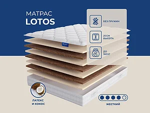 ������ ������ Lineaflex Lotos