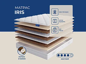 ������ ������ Lineaflex Iris