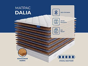 ������ ������ Lineaflex Dalia