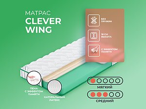   Clever Wing