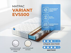 ������ ������ ������� Variant EVS500